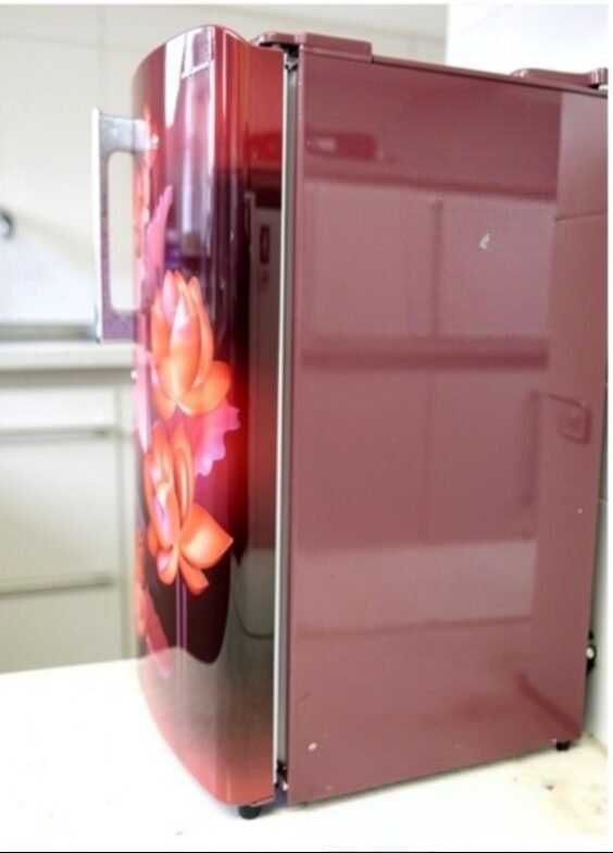 Voltas Beko Single Door Refrigerator (Burgundy/Red Lotus Floral Finish) - Image 2